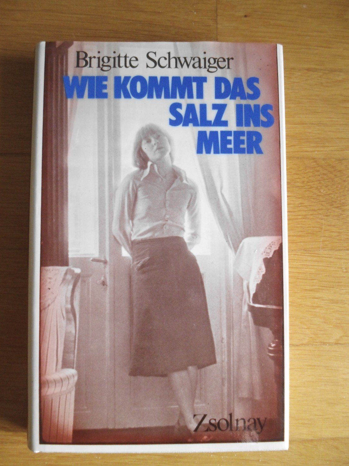 „Wie kommt das Salz ins Meer“ (Brigitte Schwaiger) – Buch gebraucht ...